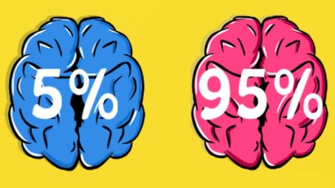 Тест для мозга.Насколько развит твой мозг?