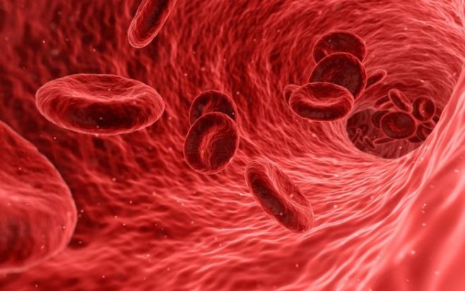 Как быстро повысить уровень гемоглобина в крови