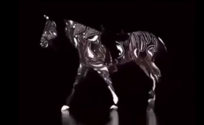 Тест на доминирующее полушарие мозга: В какую сторону идёт лошадь?